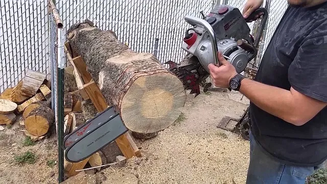 Bon Air chainsaw-tree-removal-Pittsburgh