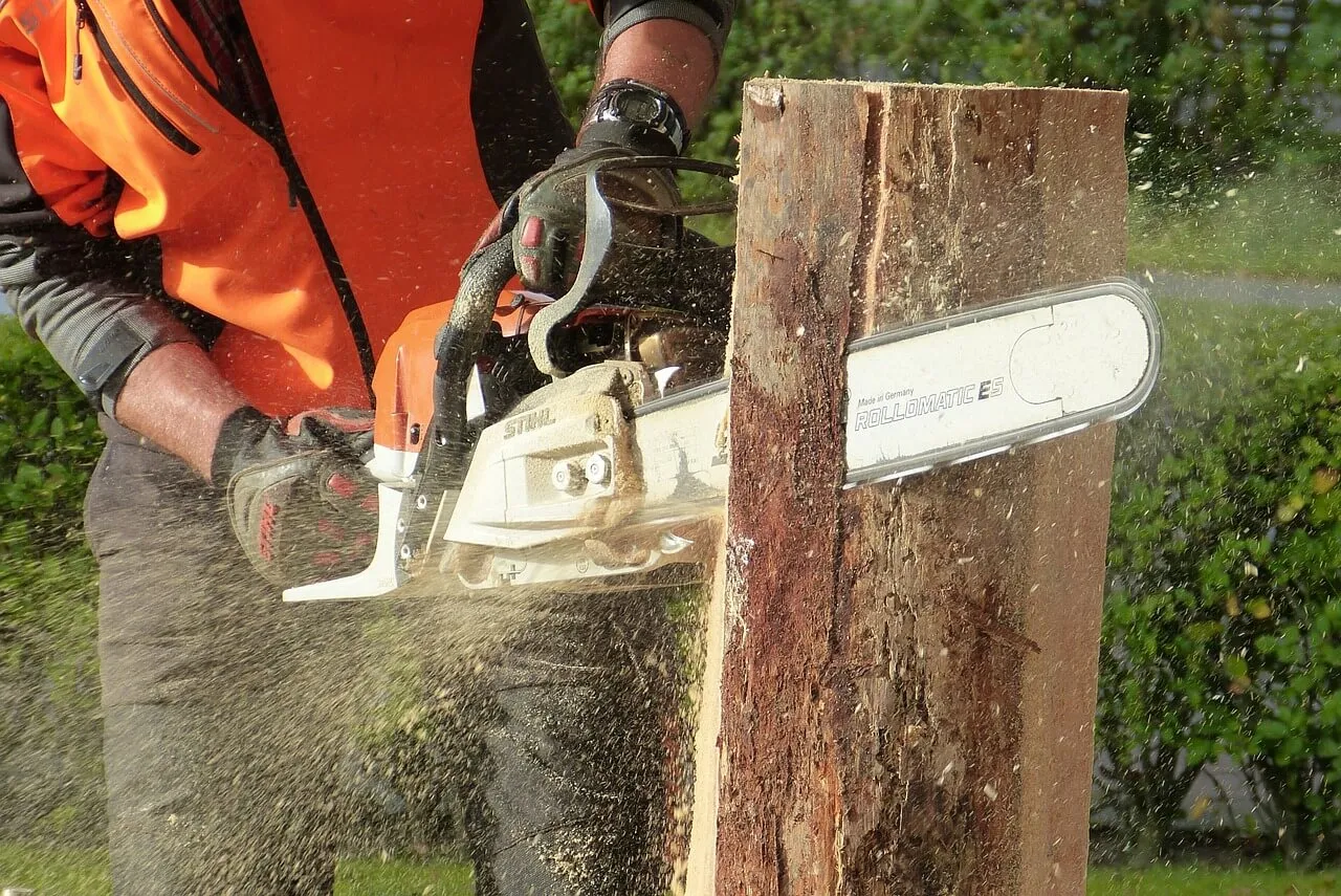 chainsaw-tree-removal-service-Pittsburgh California Kirkbride